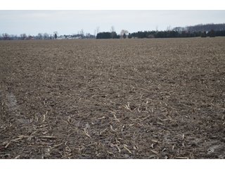 Property photo 56 - 175 Acres Offered in 5 Tracts - Tontogany, Ohio Farm Land Auction